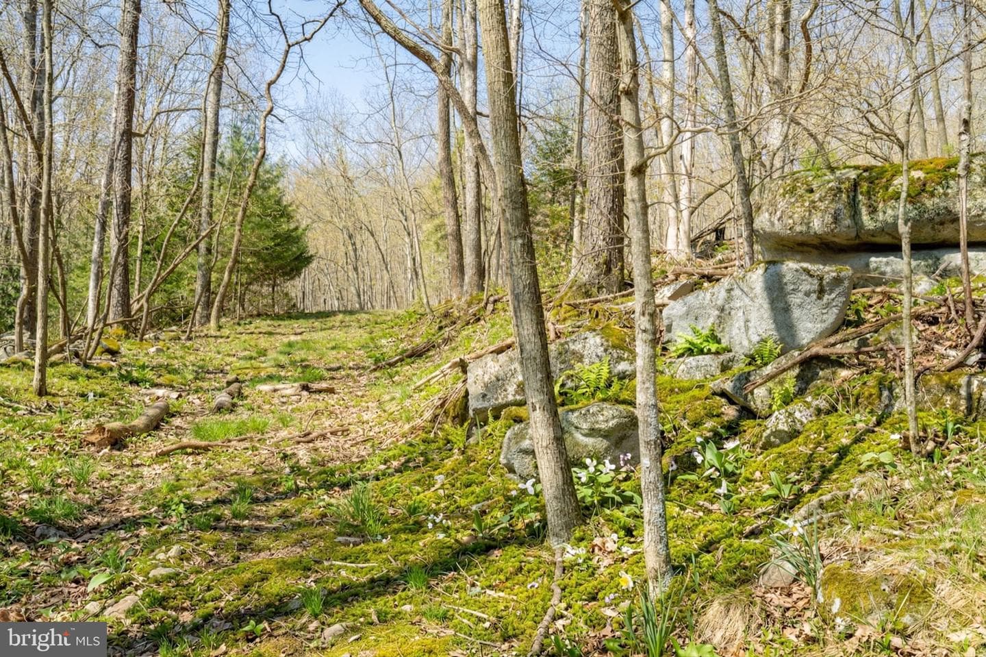 2361 Rock Lodge photo 54