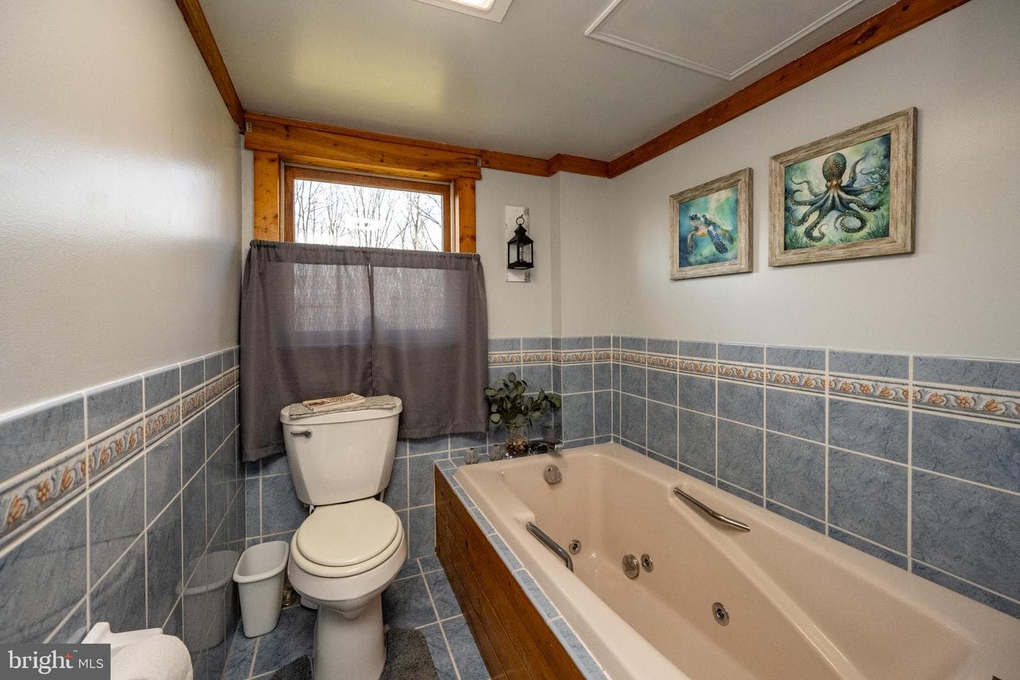 1204 Alexander Lane photo 22