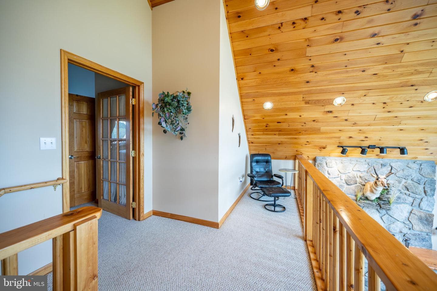 53 Meadow Court photo 26