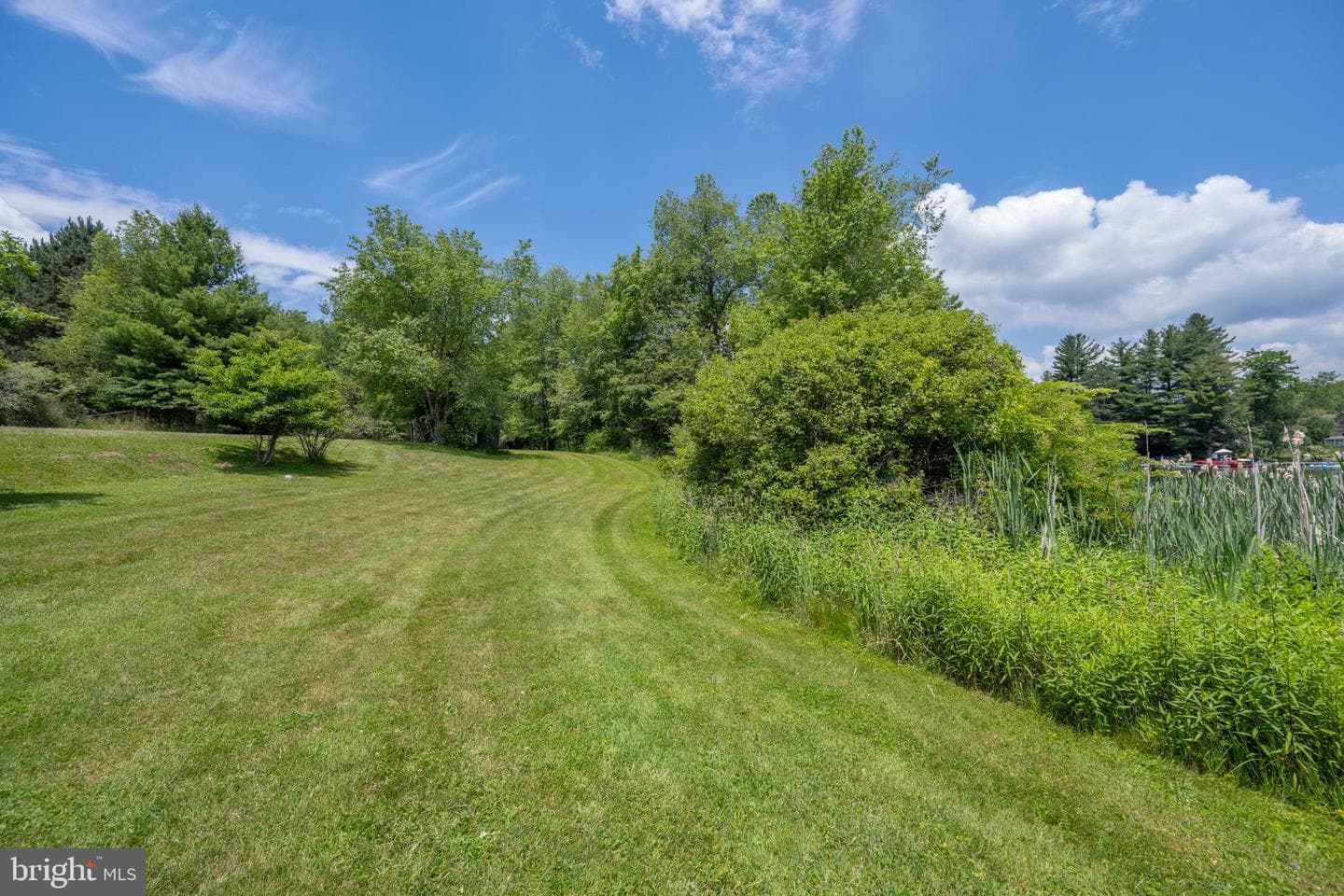 53 Meadow Court photo 69