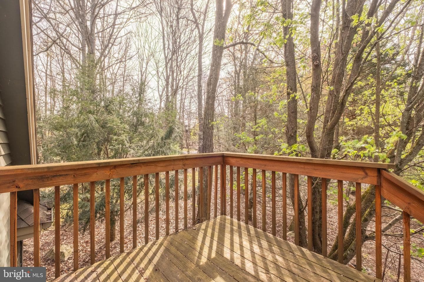 128 Bridgeview Lane photo 40