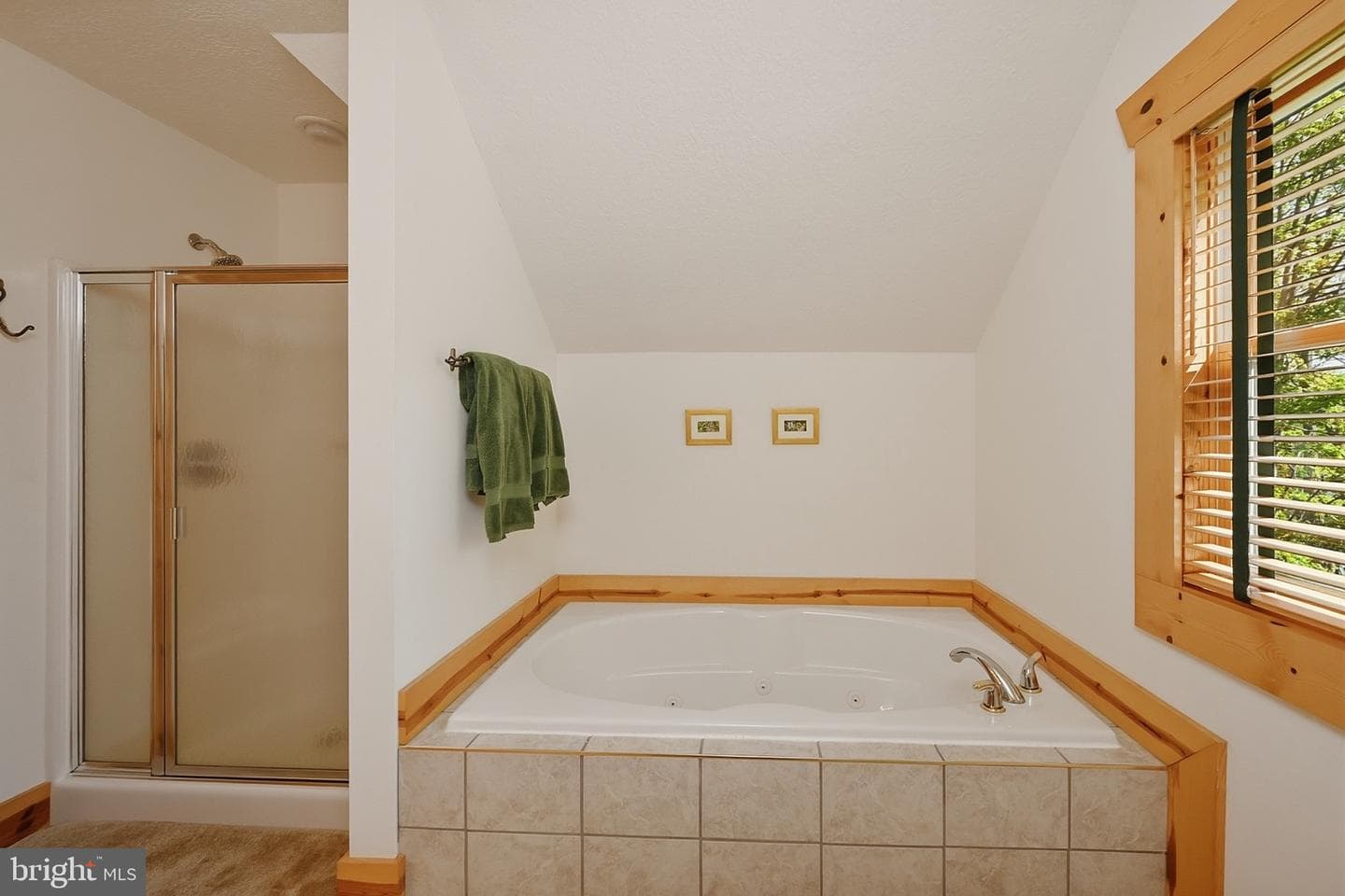 42 Red Oak Way photo 46