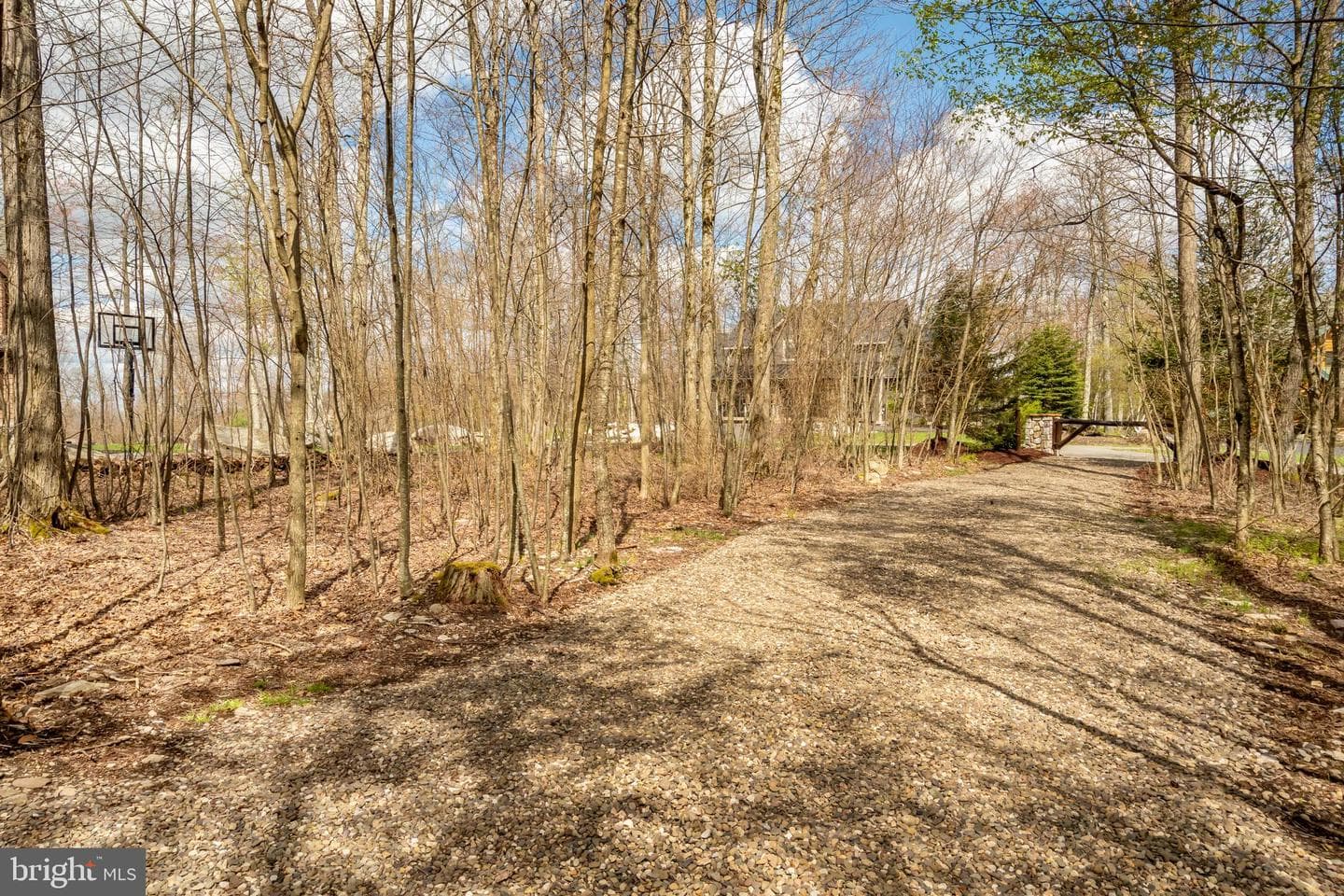 41 Big Dipper Court photo 135