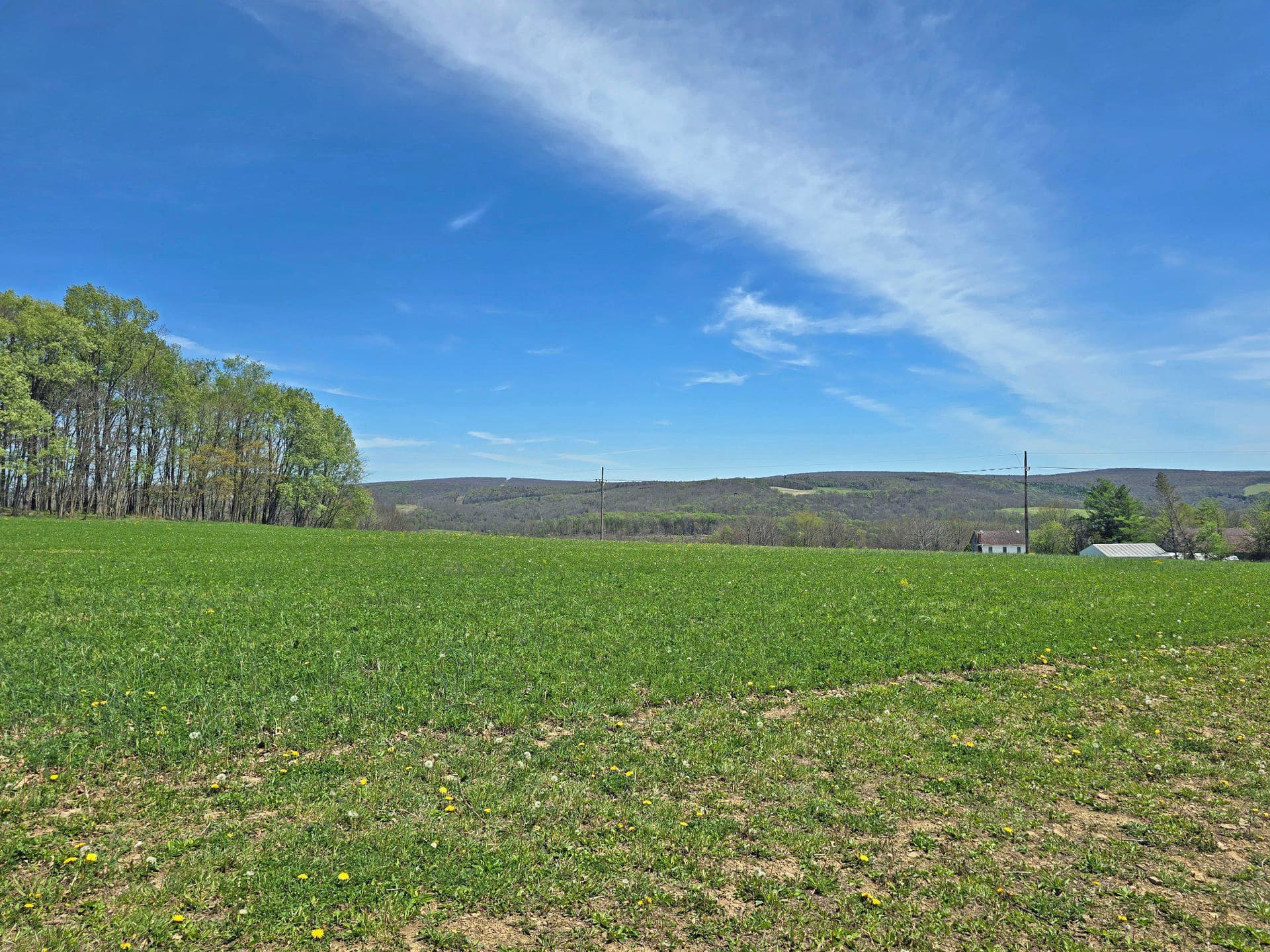 137 Shawnee Lane photo 44