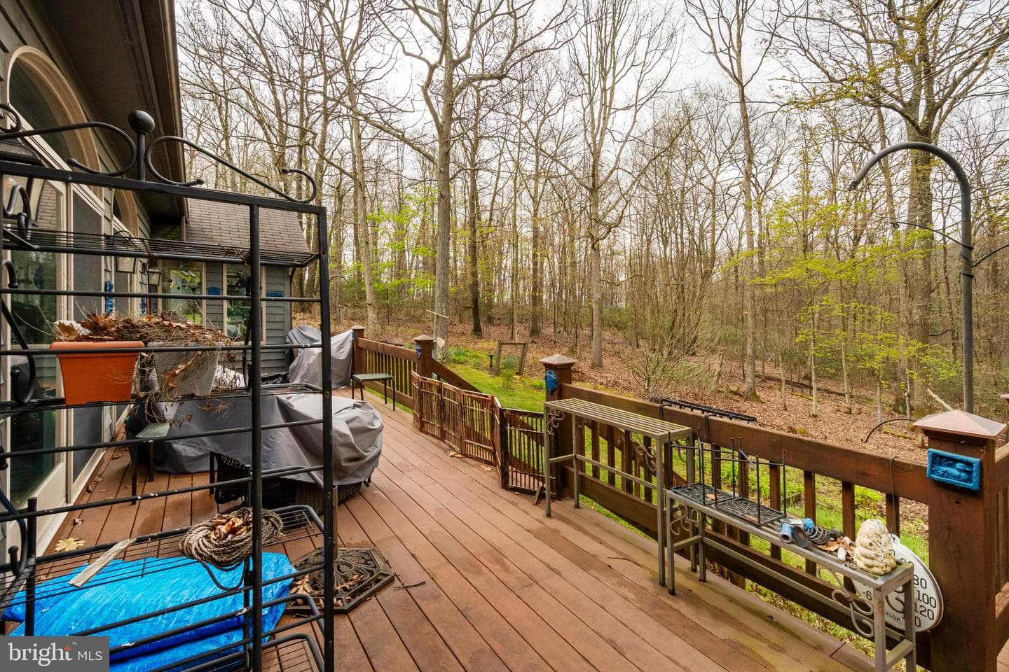 398 Snowbird Lane photo 67