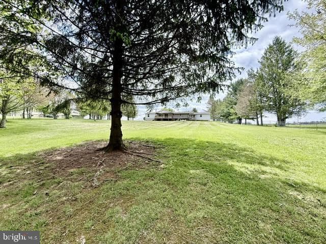 105 Jasper Riley Rd photo 60