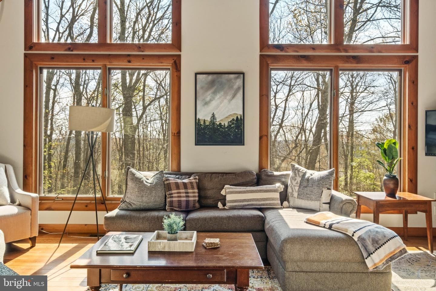 206 Highline Drive photo 4