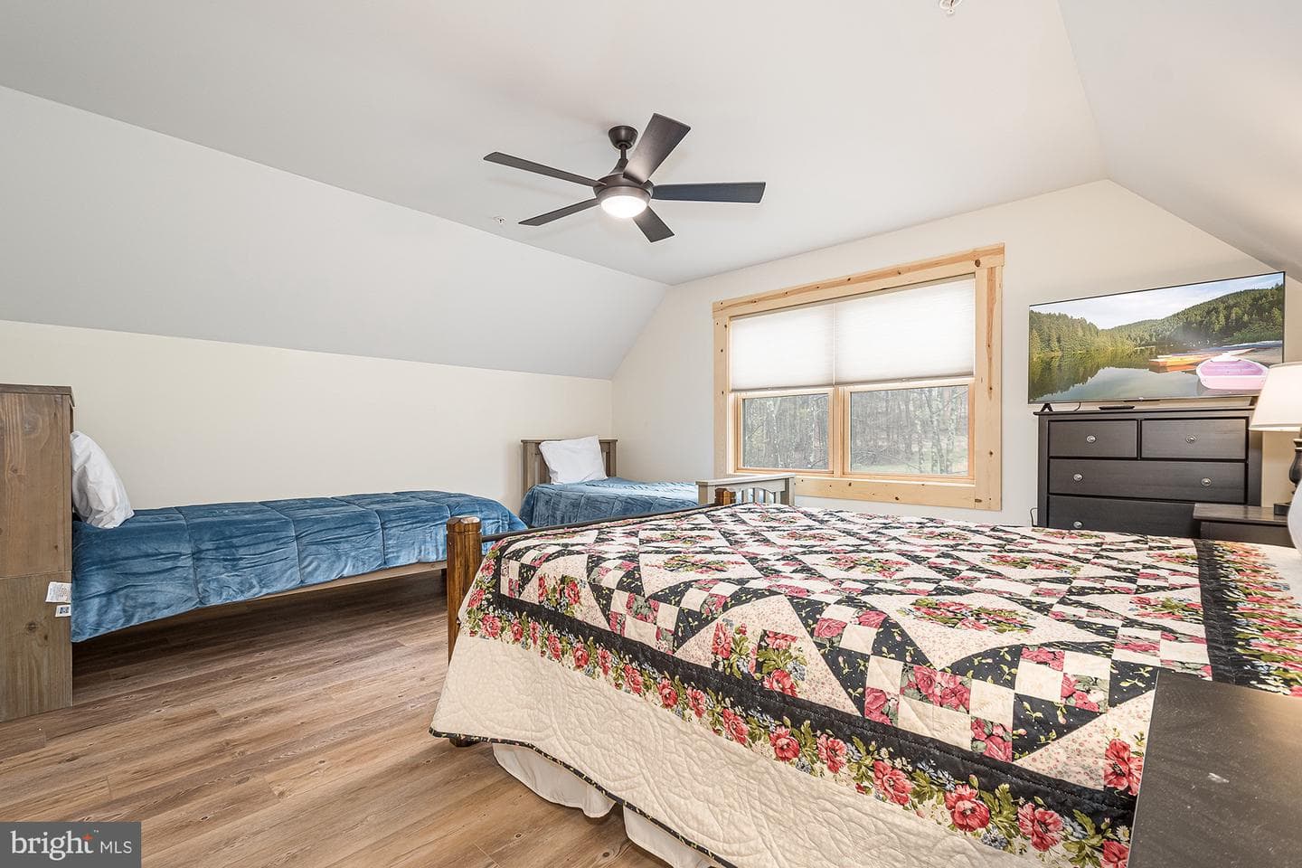 50 Blue Mountain View photo 16