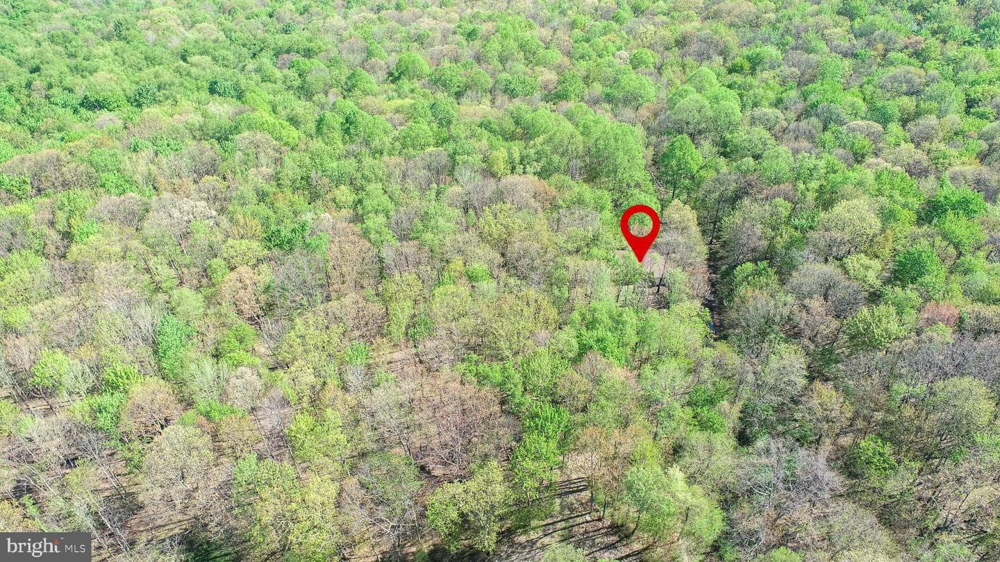 2461 Old Morgantown Road E photo 47