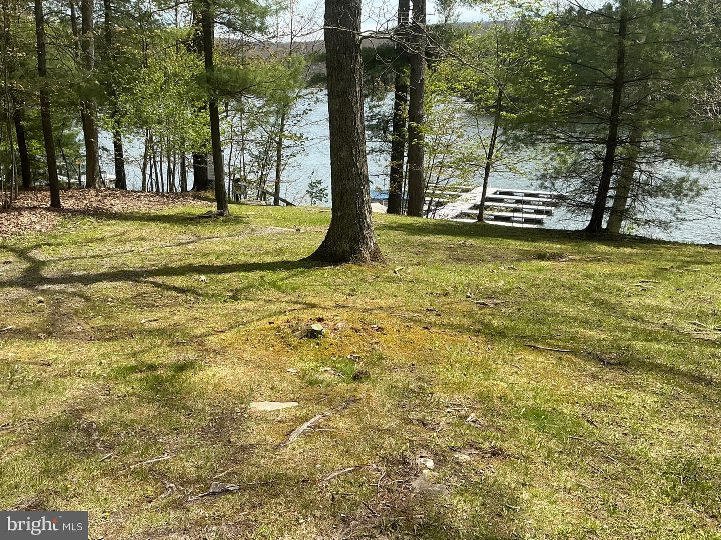 158 Oak Way Road photo 46