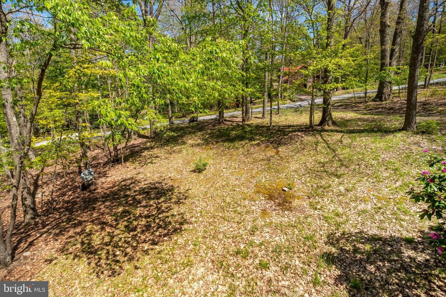 365 Ridge Road photo 19