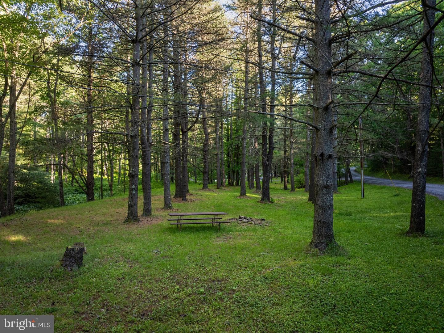 365 Ridge Road photo 46