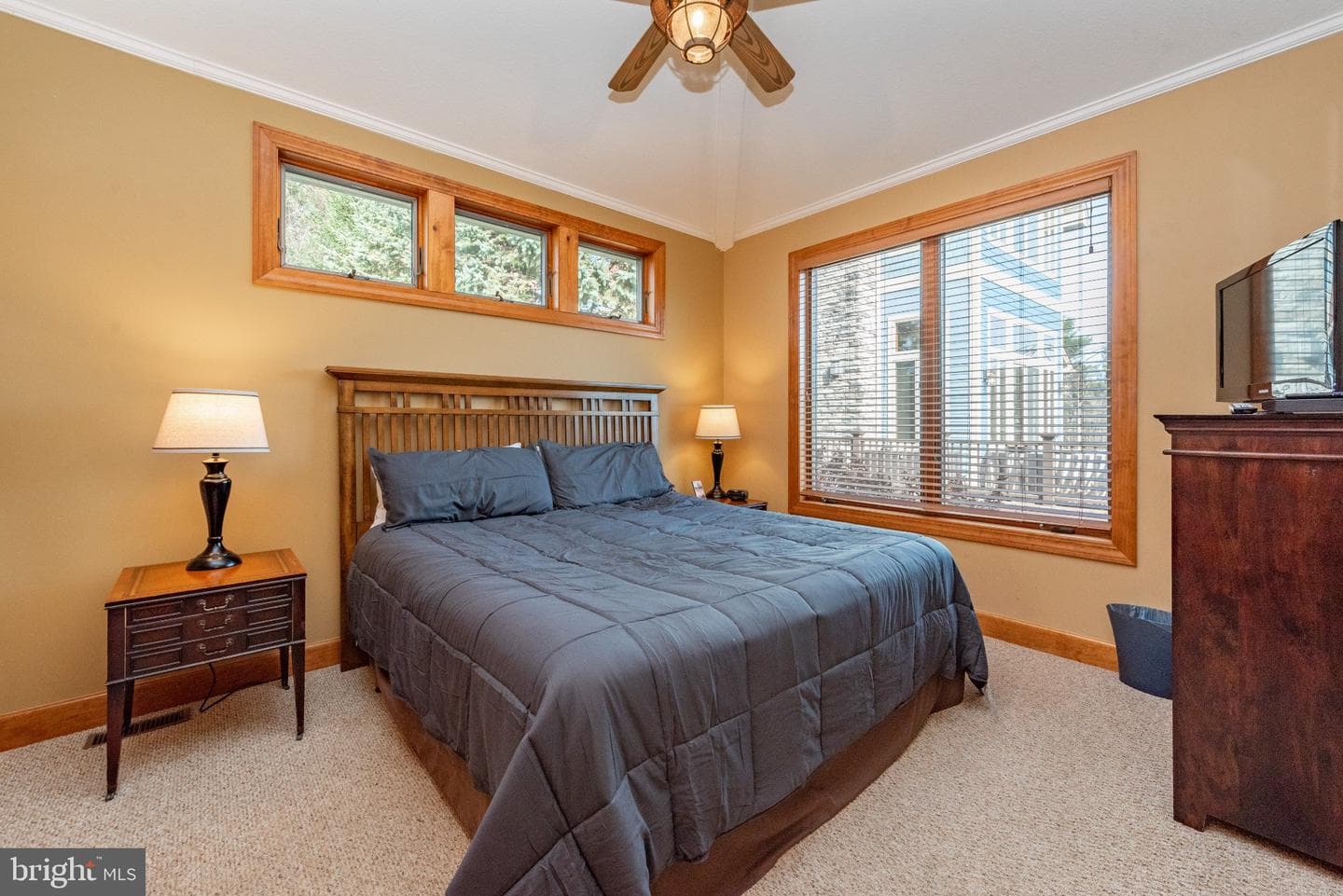 10 Walton Way Road photo 50