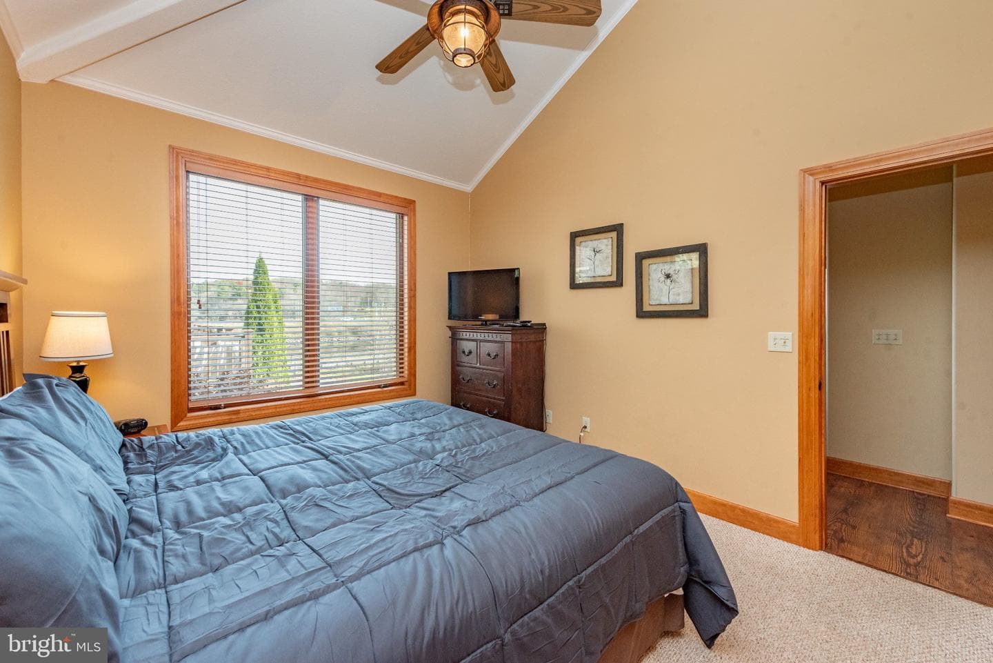 10 Walton Way Road photo 51