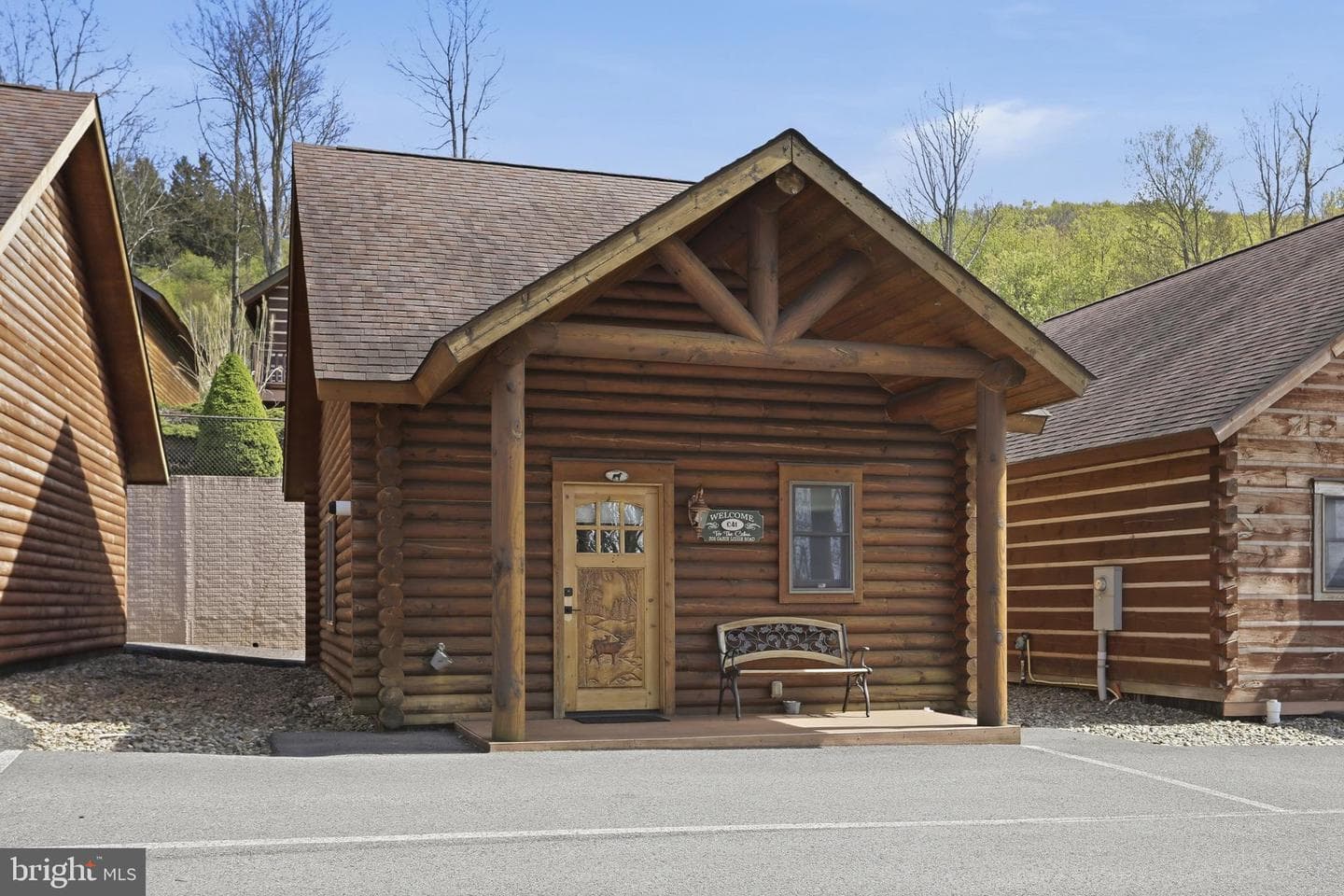 305 Cabin Lodge Road photo 14
