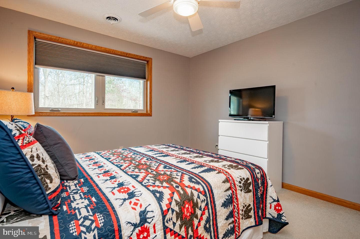 62 Middleton Road photo 28