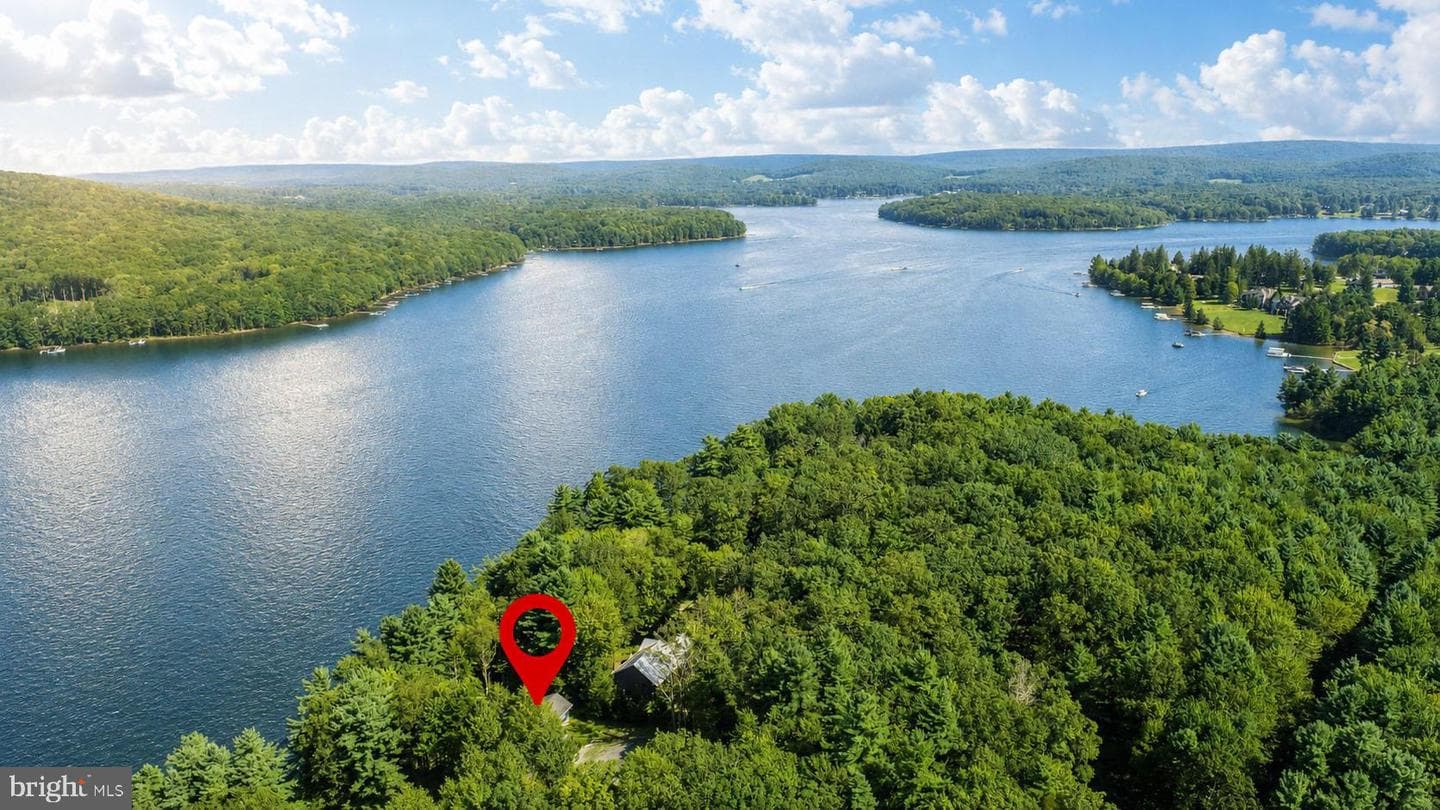 2311 Boy Scout Road photo 10