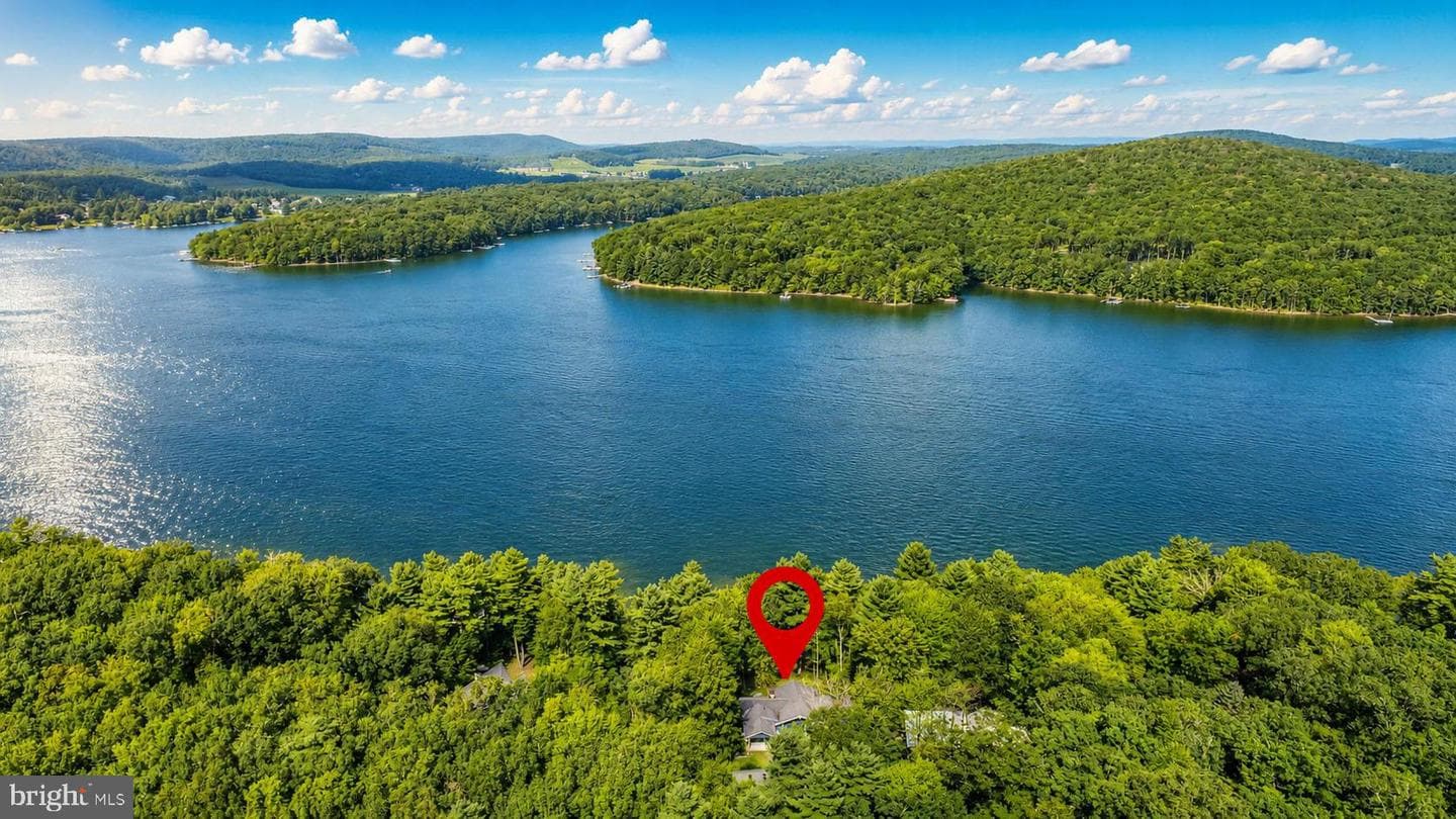 2311 Boy Scout Road photo 73