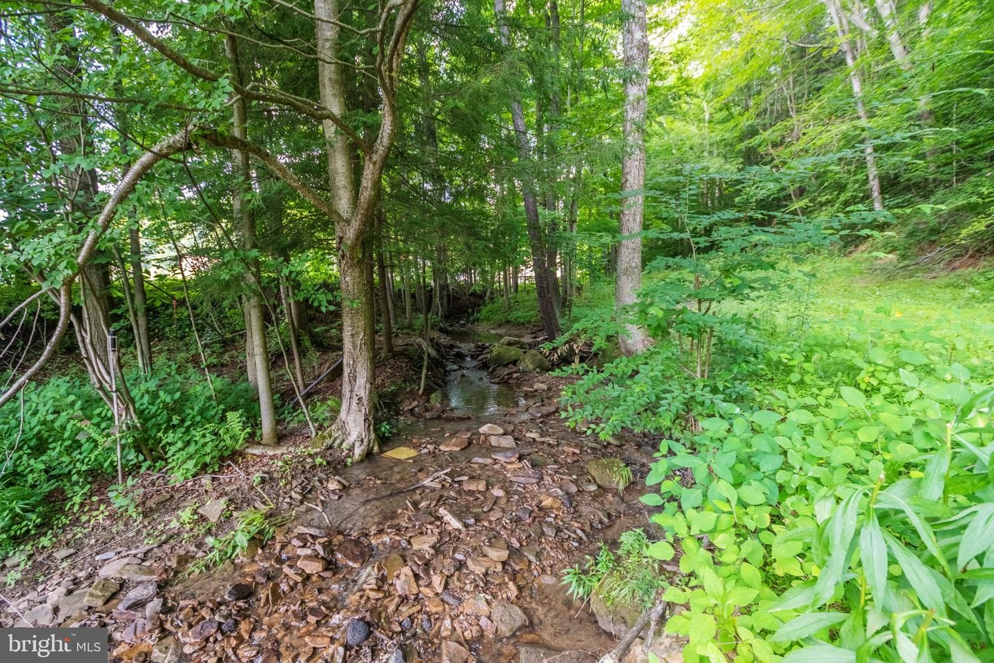 2165 Jennings Road photo 11