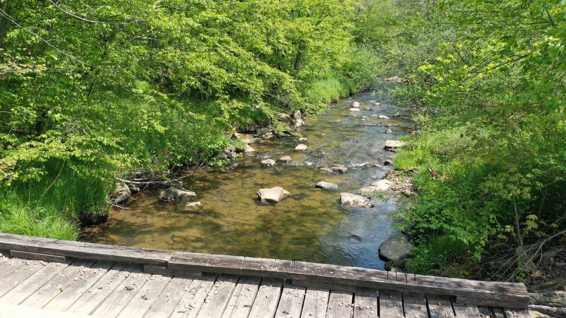 99 Wilt Road photo 50