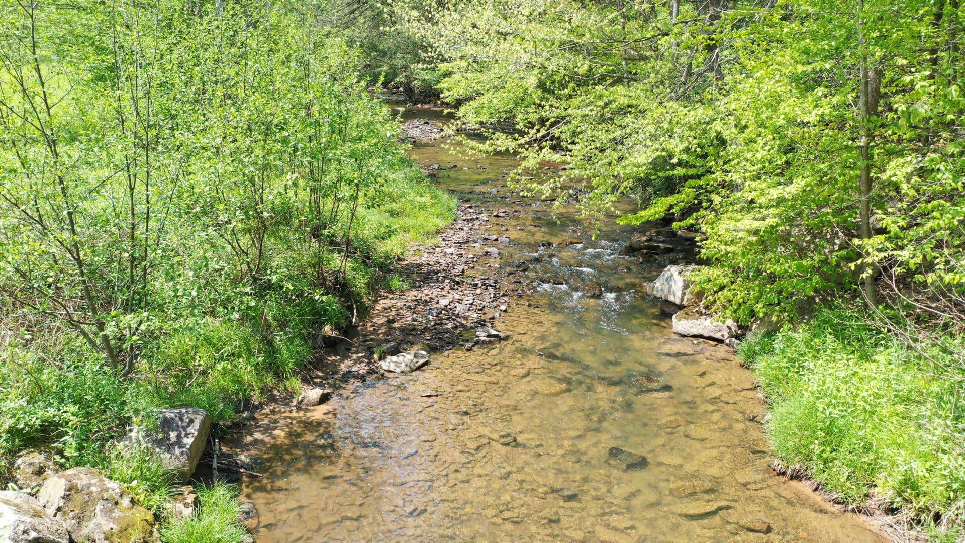 99 Wilt Road photo 51