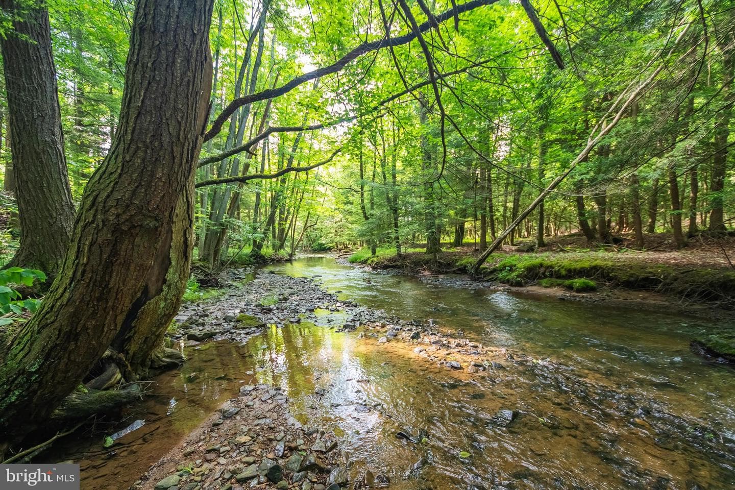 39 S Old Shade Hollow Road photo 66