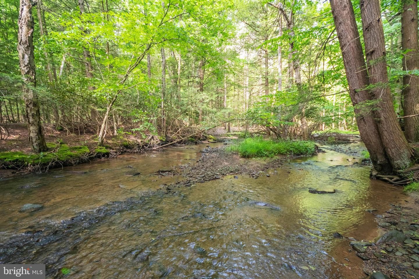 39 S Old Shade Hollow Road photo 67