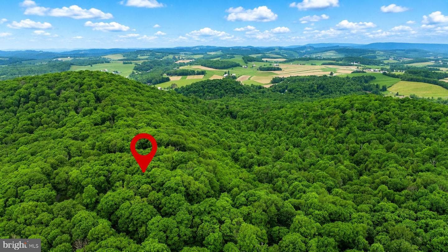 254 Little Mountain Road, Oakland