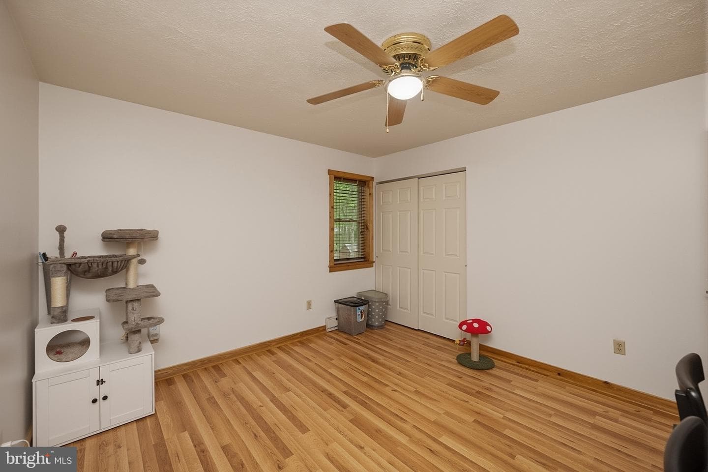 254 Little Mountain Road photo 33