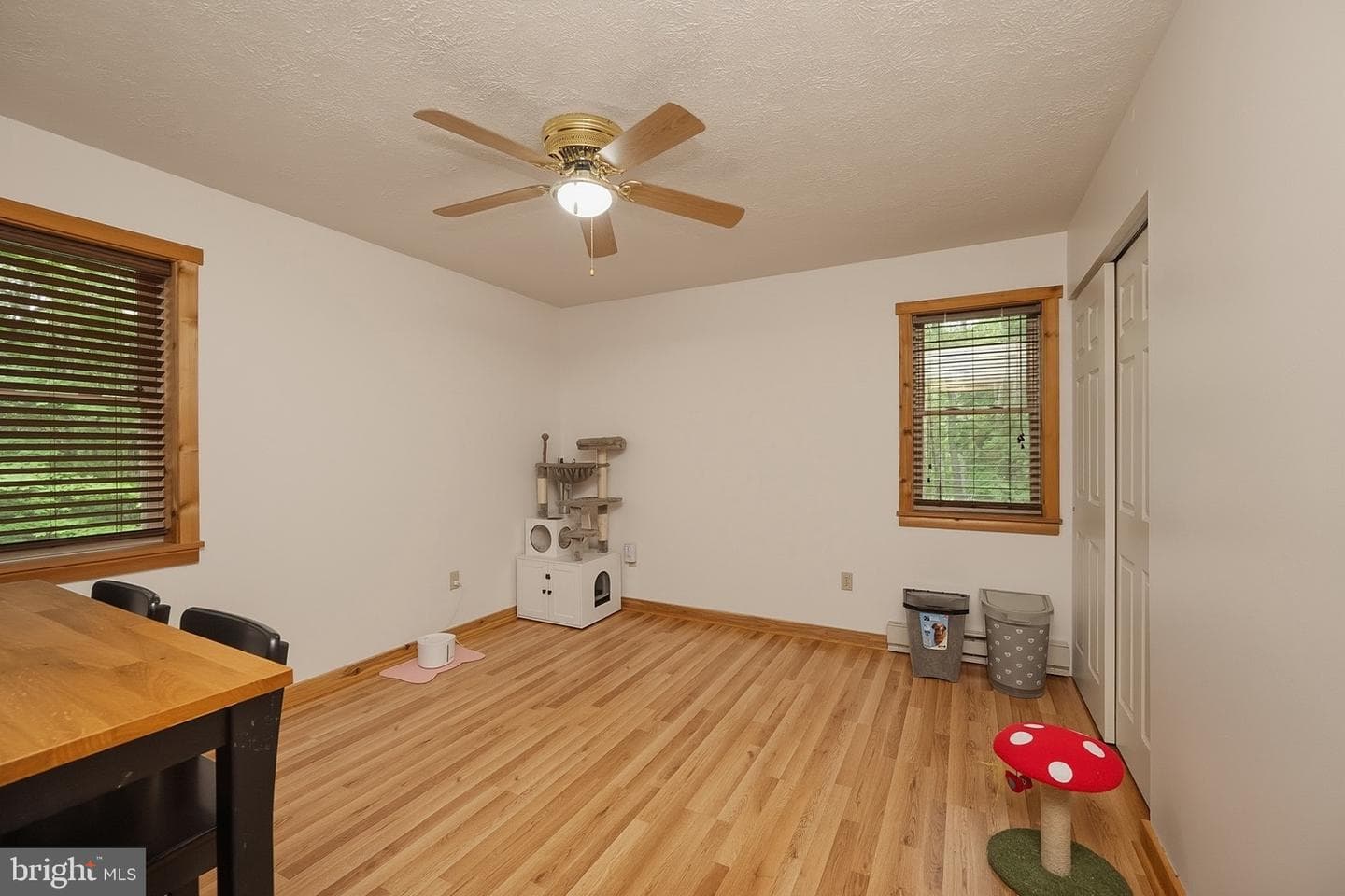 254 Little Mountain Road photo 34