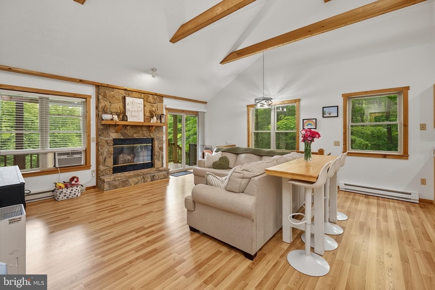 254 Little Mountain Road photo 4