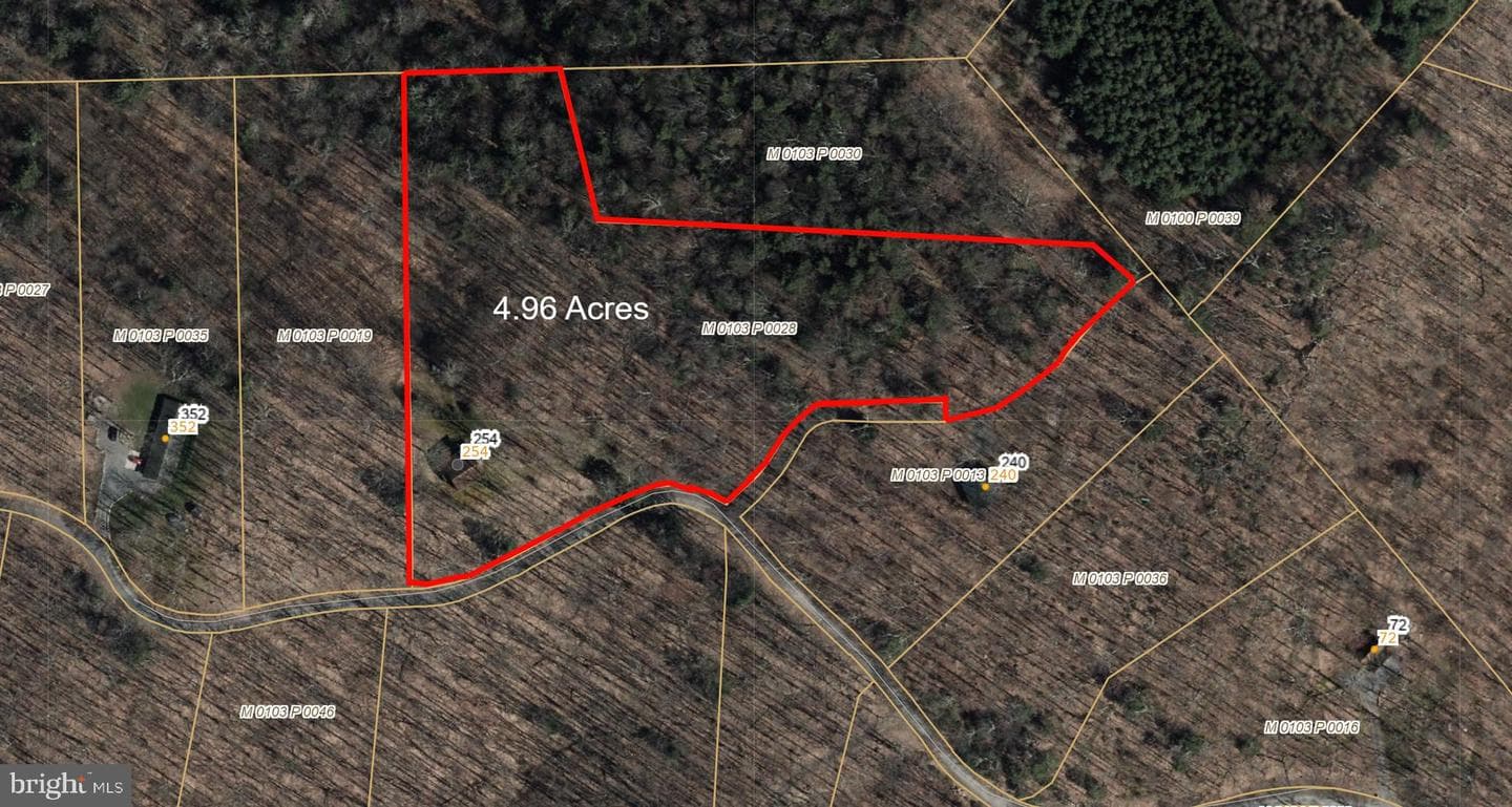 254 Little Mountain Road photo 46
