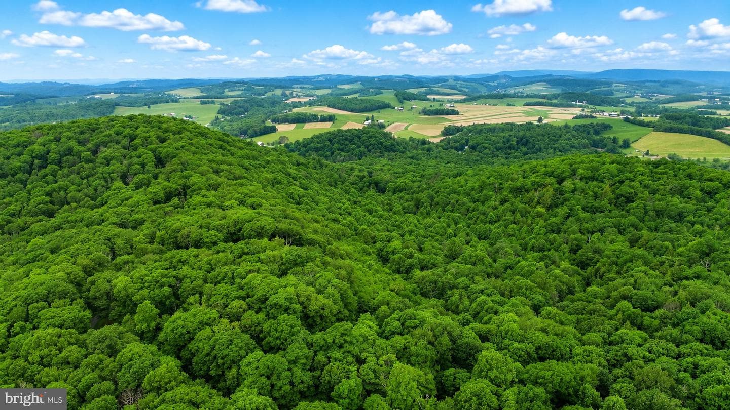254 Little Mountain Road photo 48