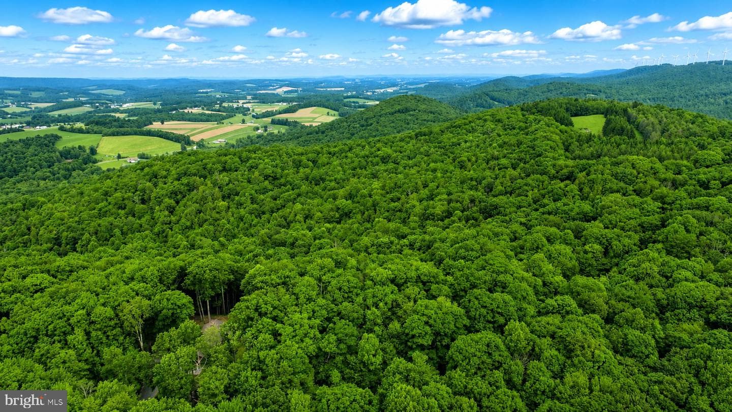 254 Little Mountain Road photo 49