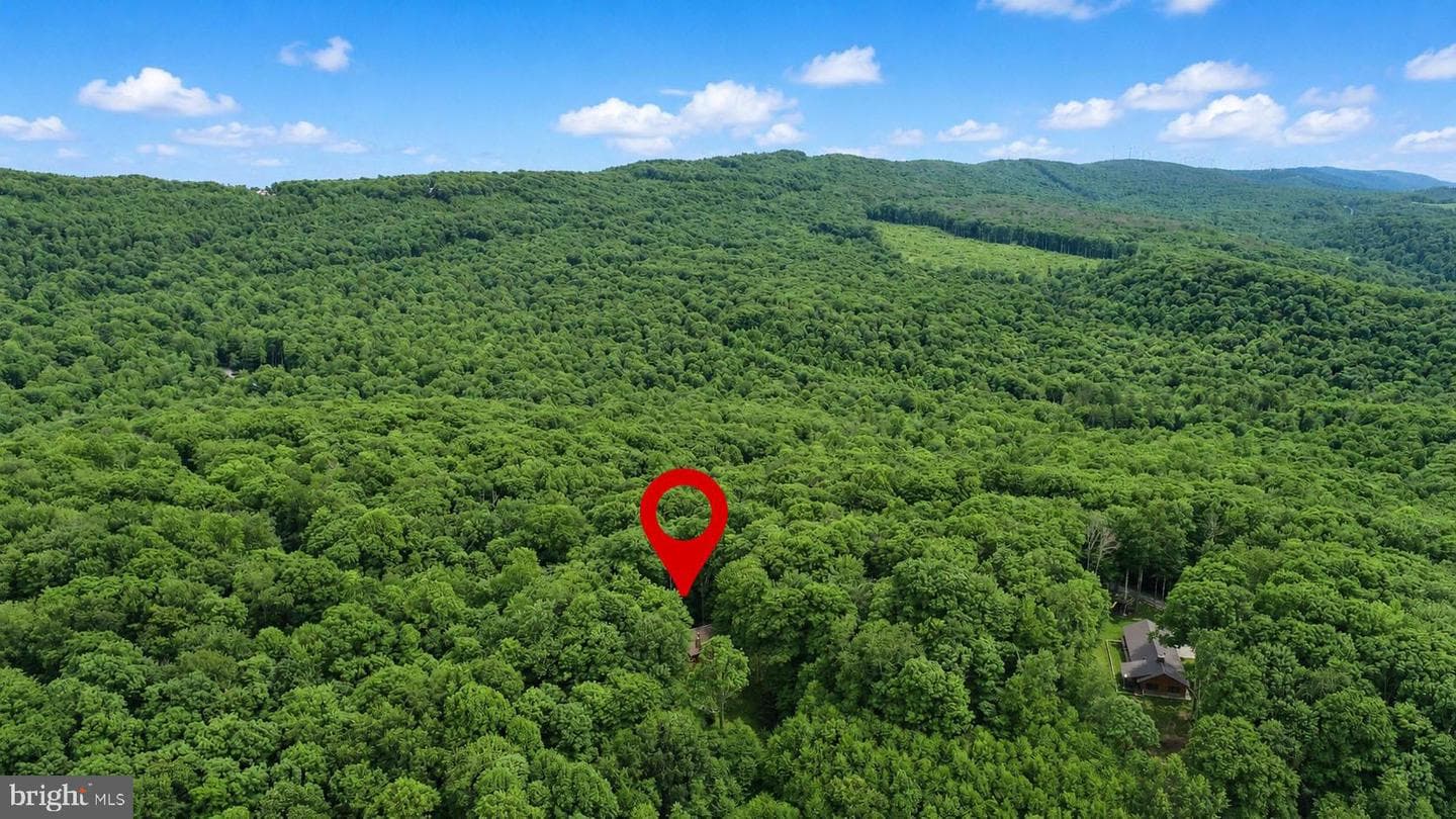254 Little Mountain Road photo 50