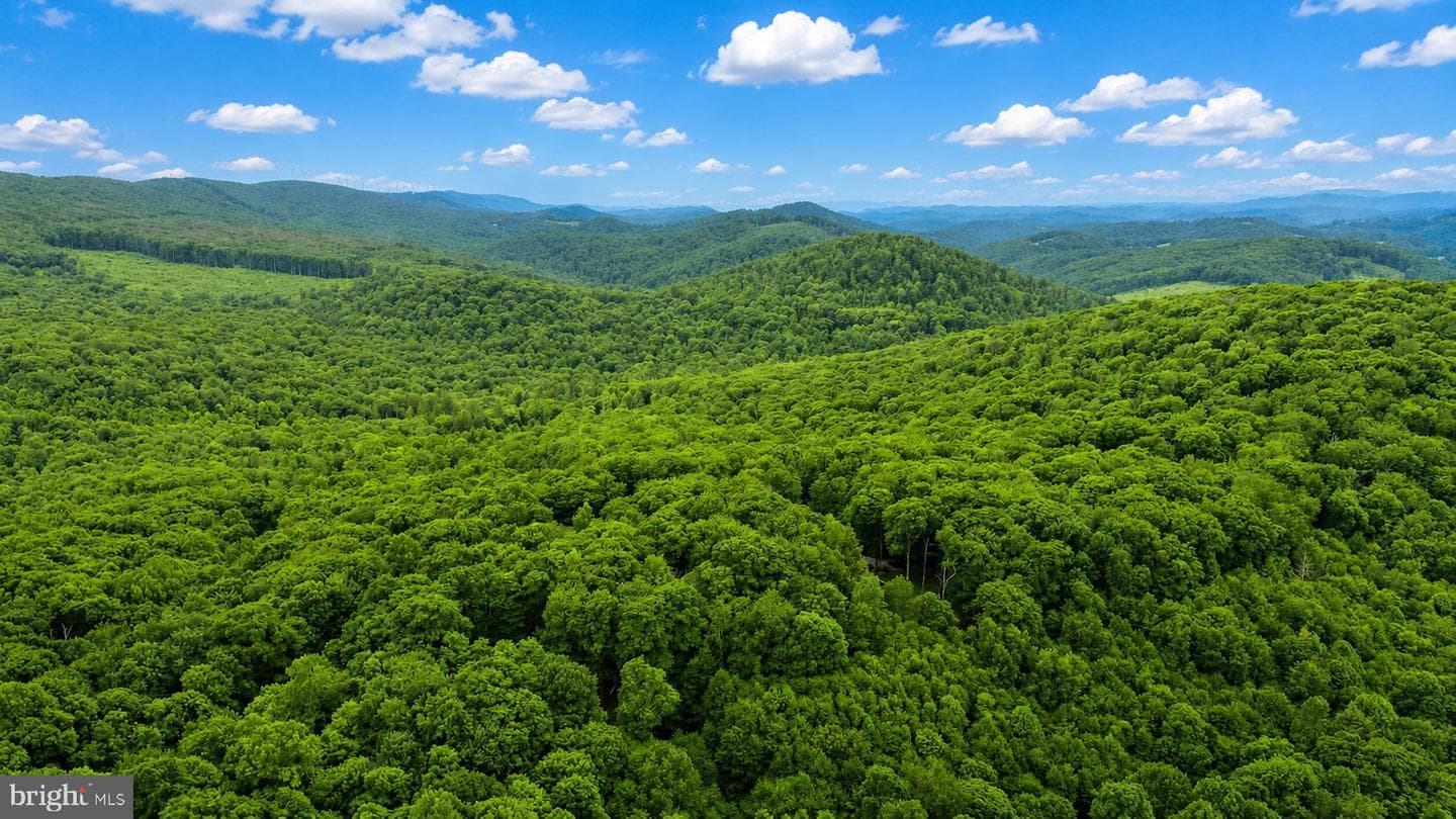 254 Little Mountain Road photo 52