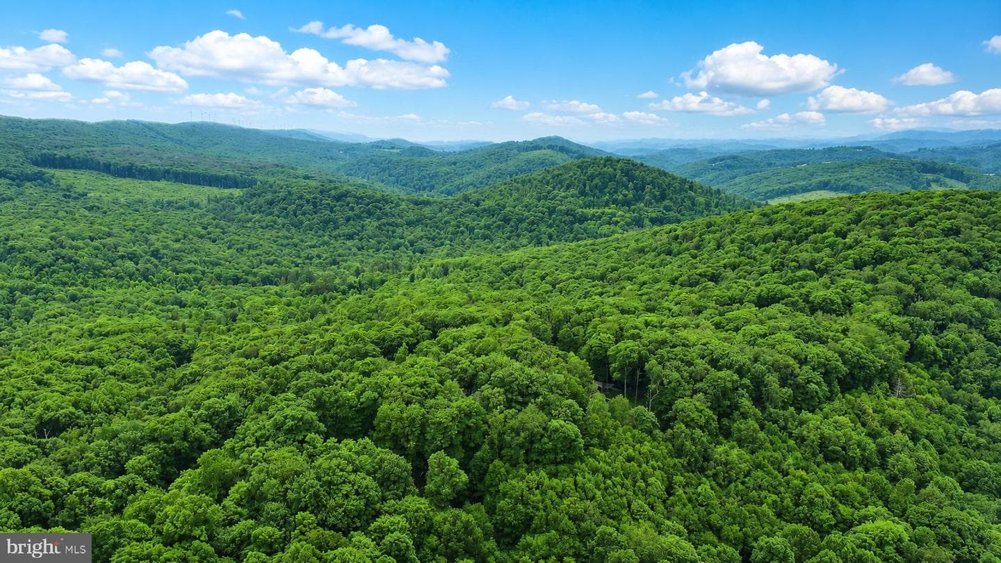 254 Little Mountain Road photo 53