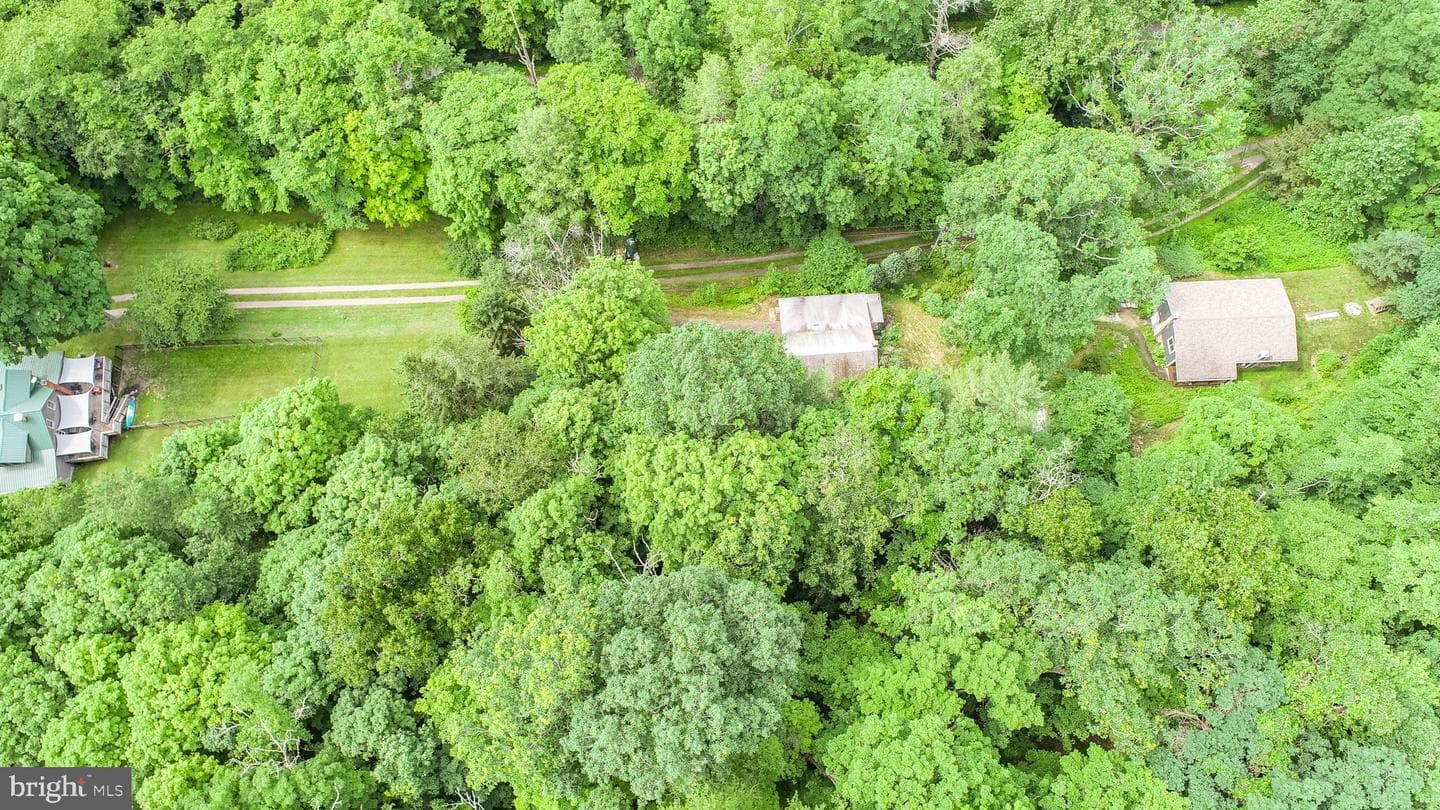 10805 Savage River Road photo 32