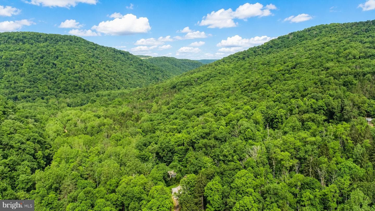 10805 Savage River Road photo 35