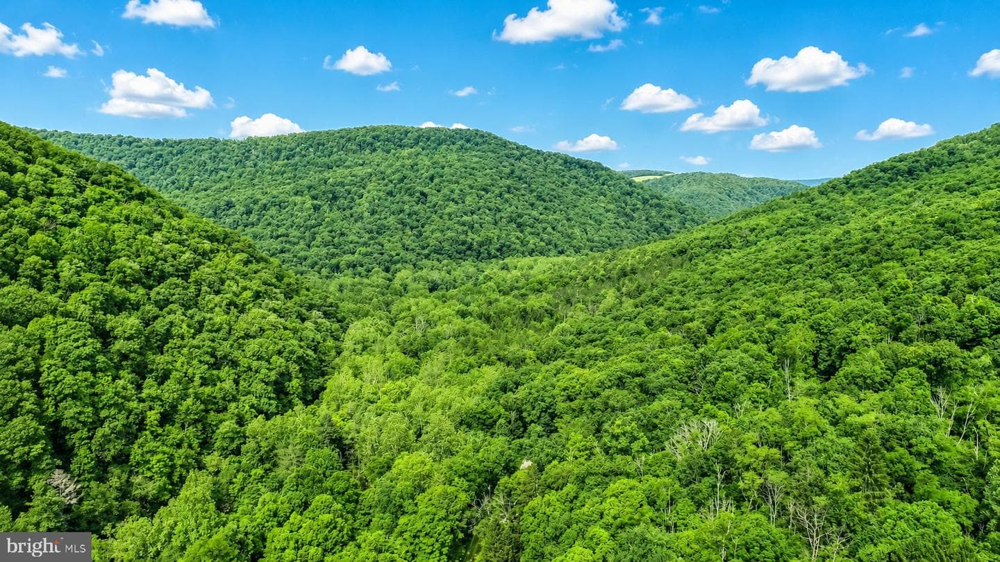 10805 Savage River Road photo 37