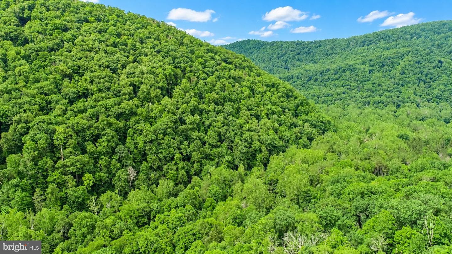 10805 Savage River Road photo 38