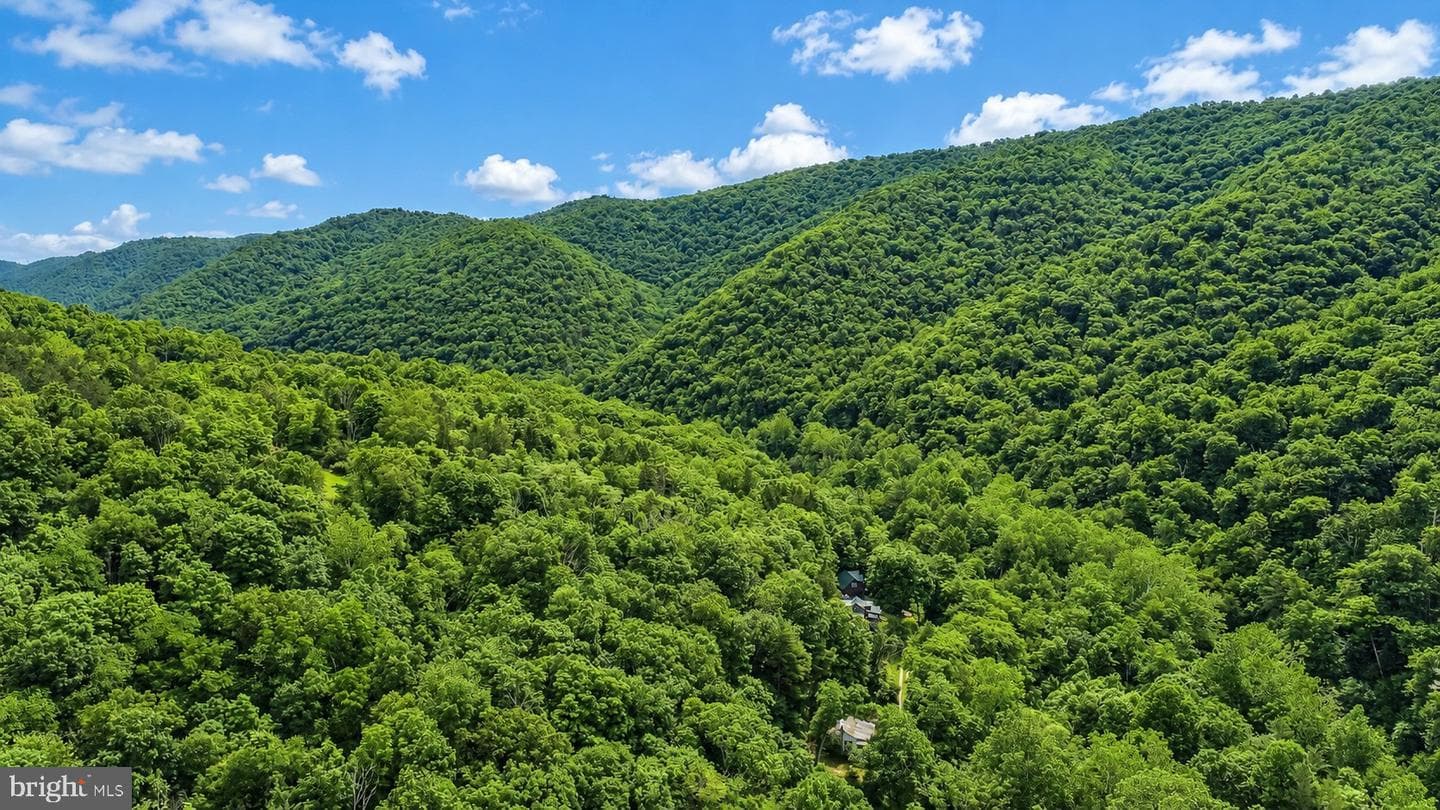 10805 Savage River Road photo 39
