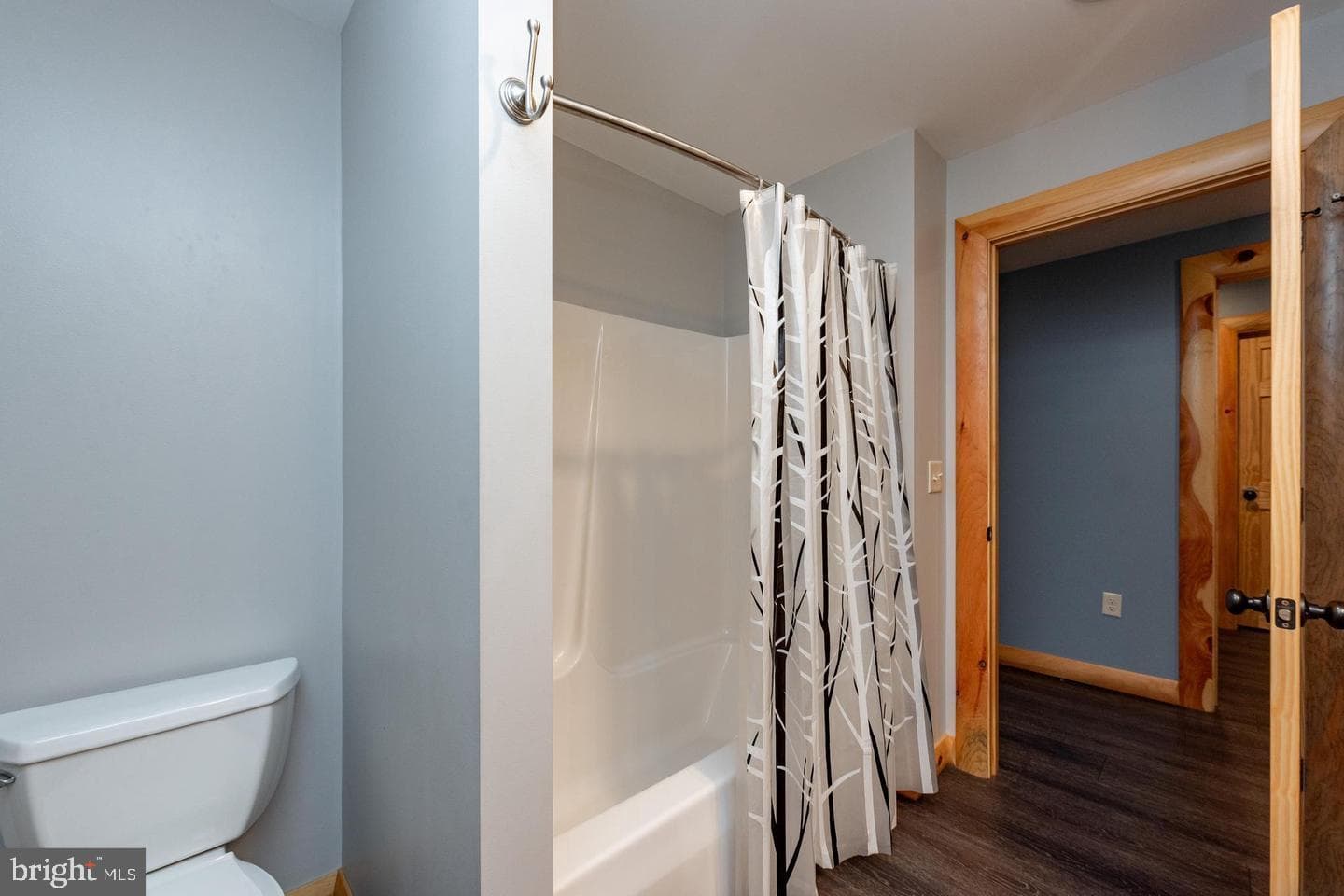 260 Biltmore Ridge Trail photo 45