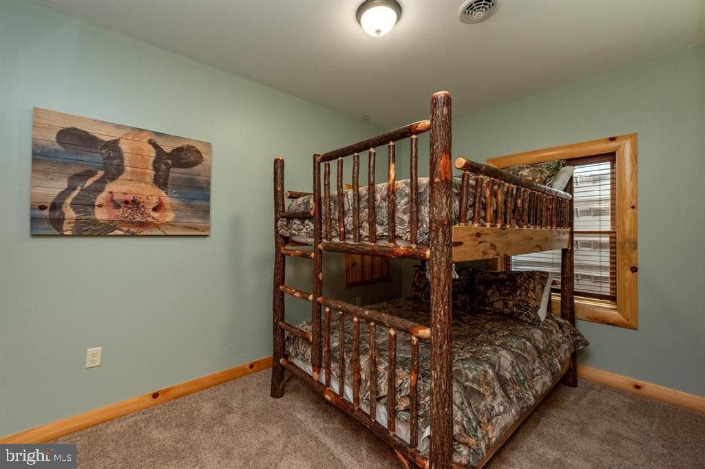 260 Biltmore Ridge Trail photo 46