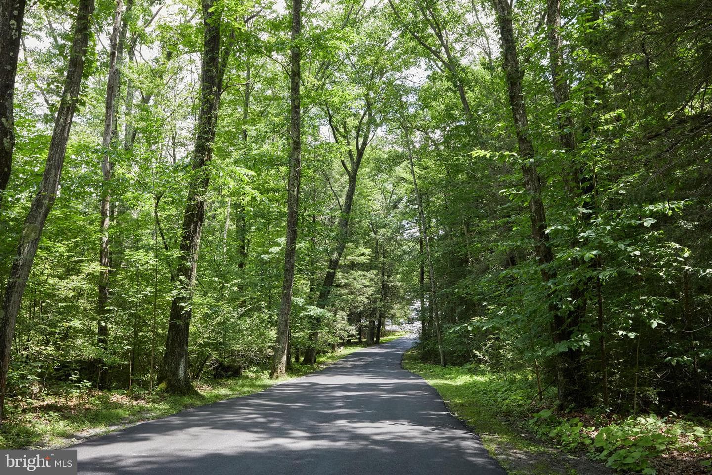 193 Red Run Rd # 1-B-3 photo 55