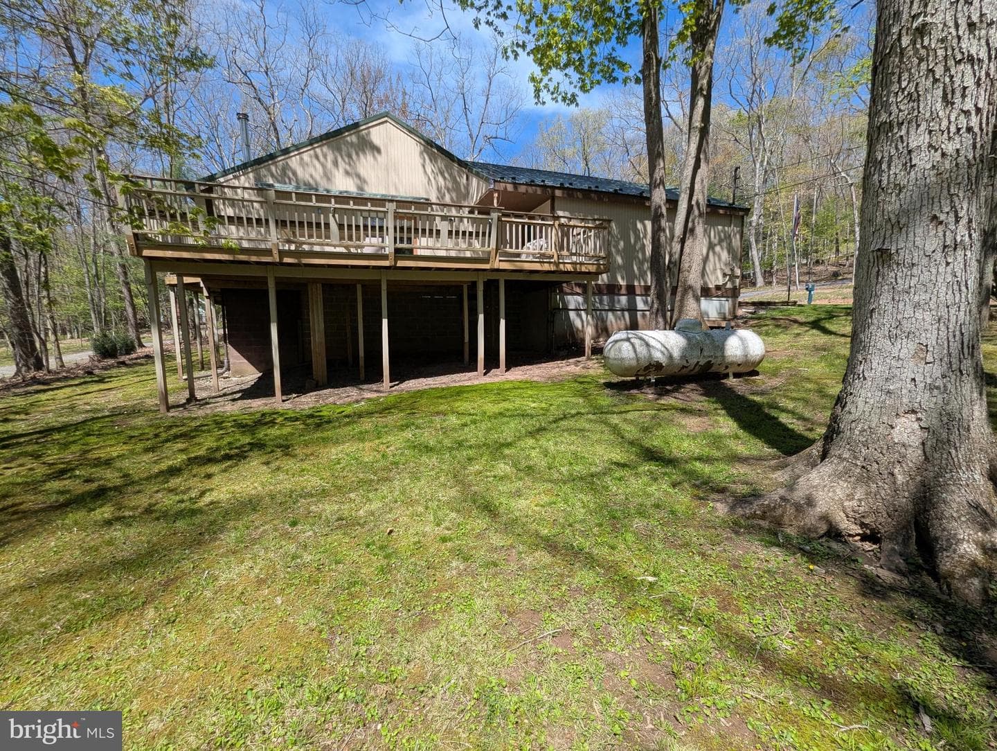 203 Woodland Way photo 7