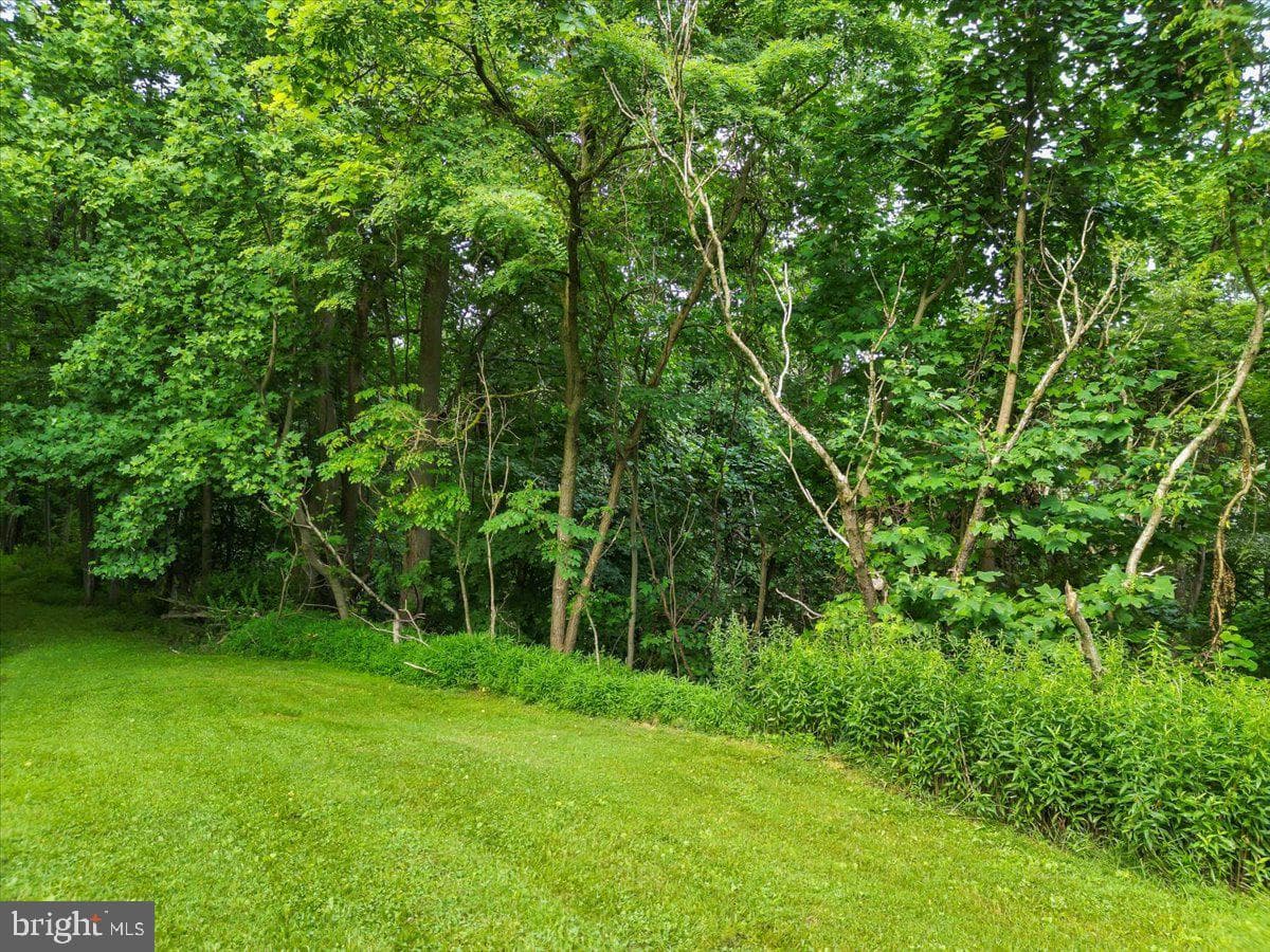 611 Timber Trail photo 24