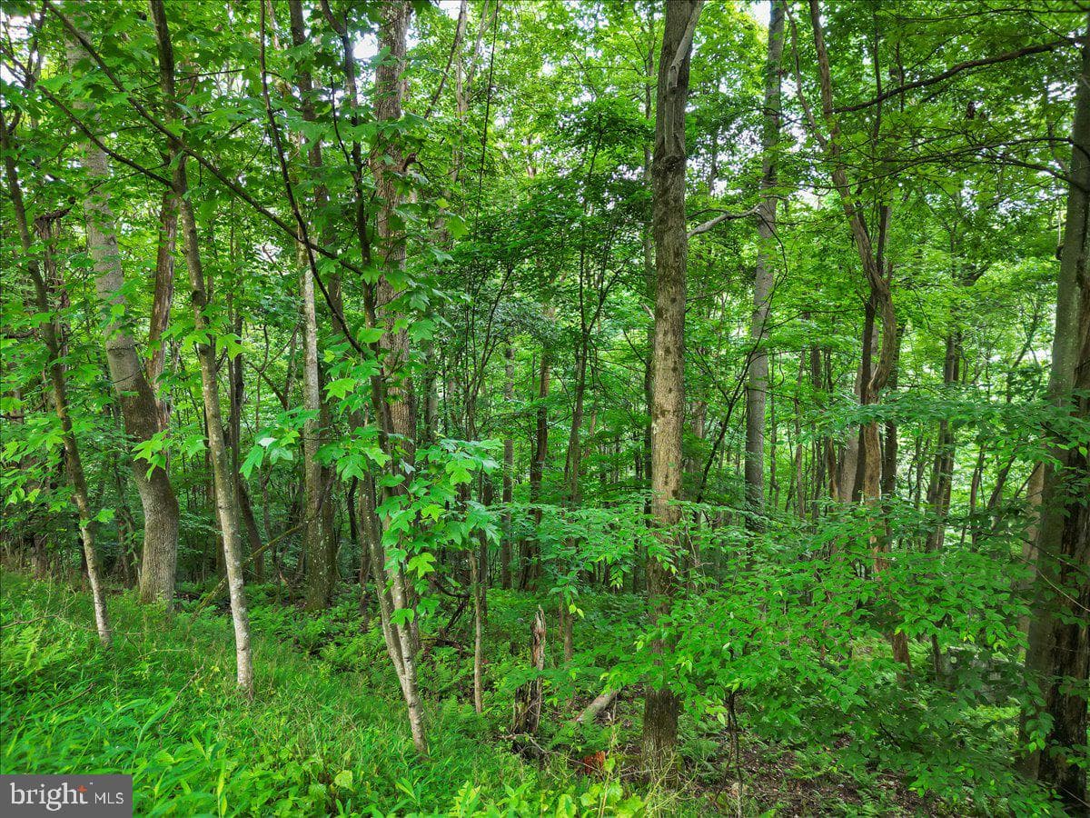 611 Timber Trail photo 28
