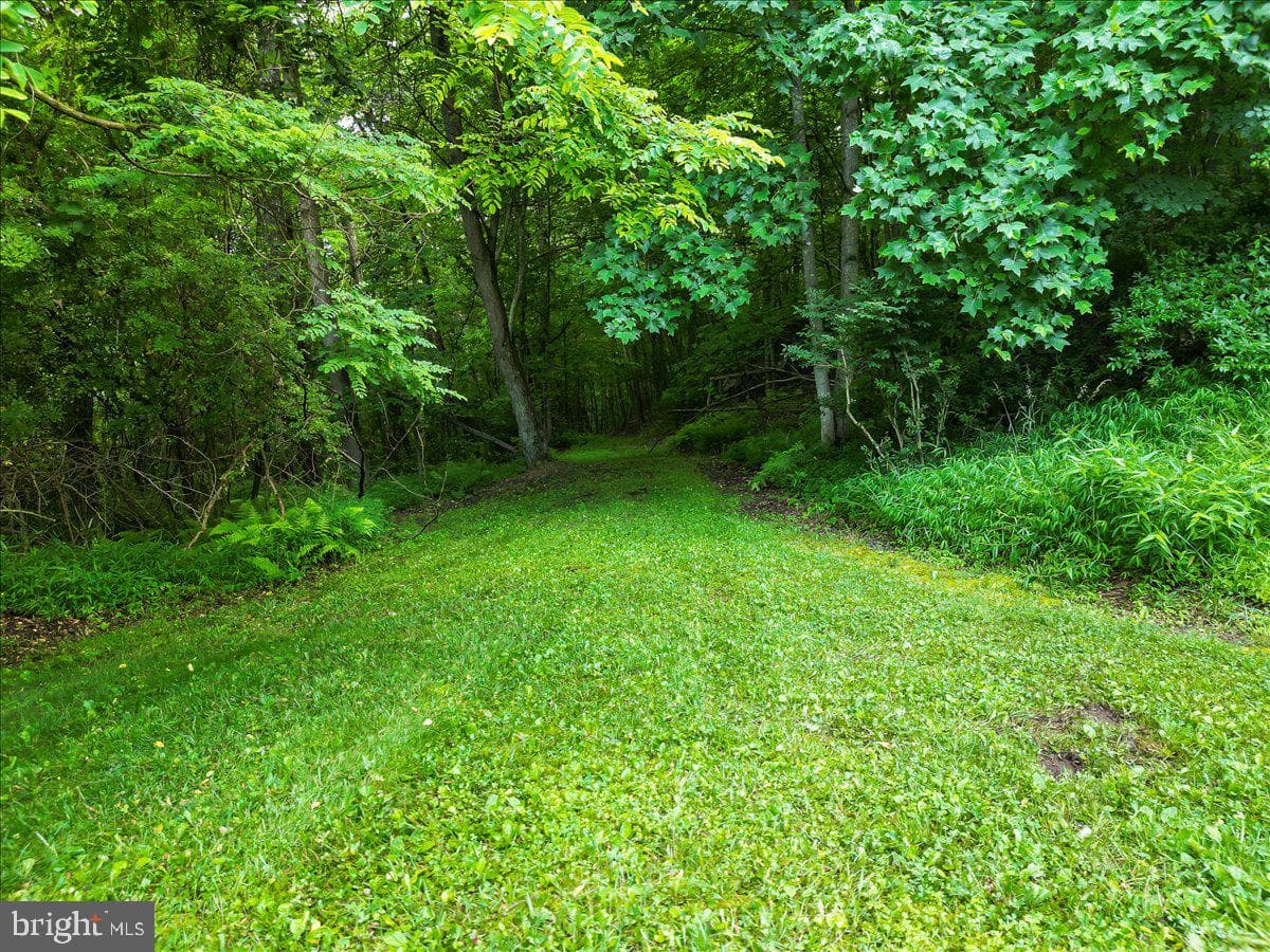 611 Timber Trail photo 4