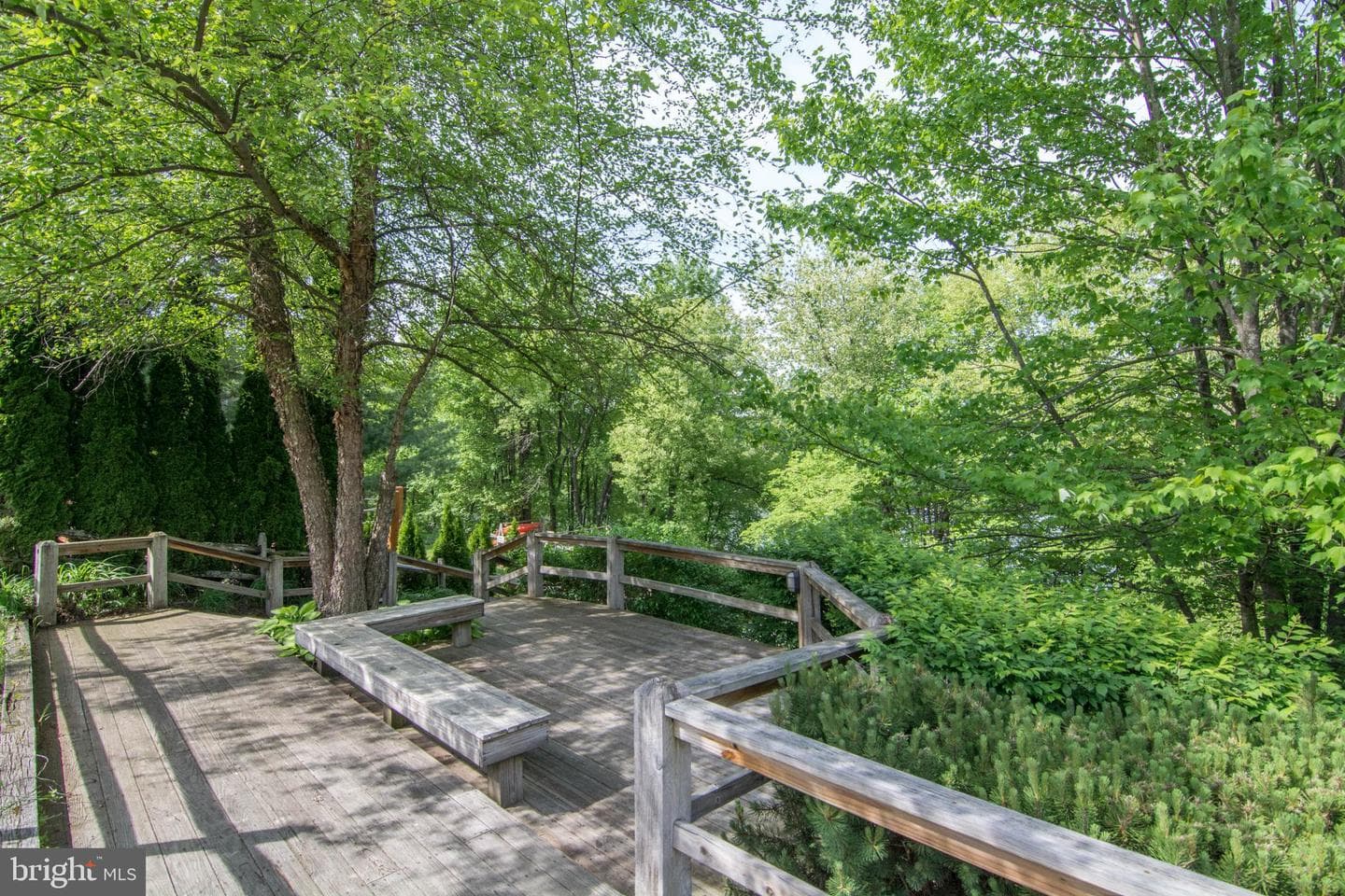 250 Lake Pointe Drive photo 100